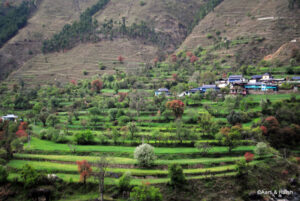 banjar to jalori pass