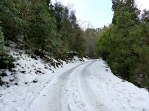 snowfall in chopta
