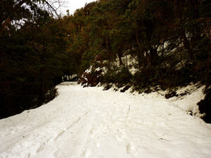 snowfall in chopta