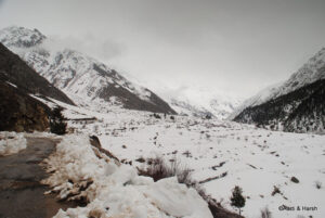 kalpa to chitkul