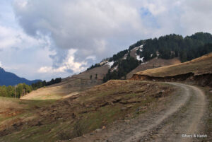 manali to prashar lake