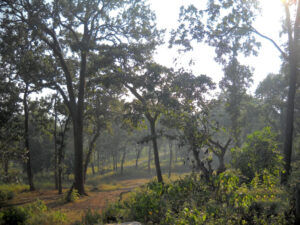 Exploring Sarandi Hills