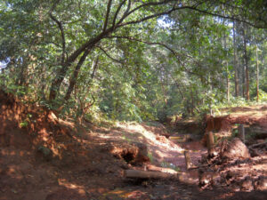 Exploring Sarandi Hills