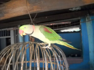 Exploring Sarandi Hills