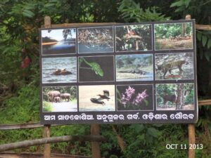 Satkosia Tiger Reserve