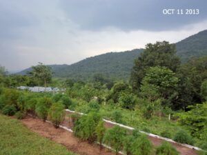 Chottkei Nature Camp