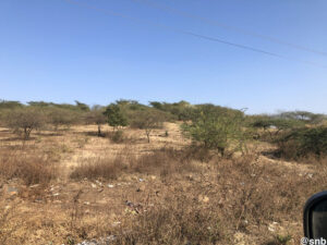 road trip to gujarat