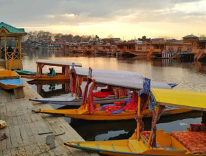 shikara in dal lake