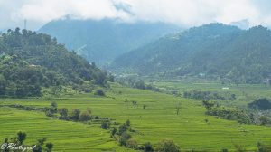 ludhiana to bairagarh