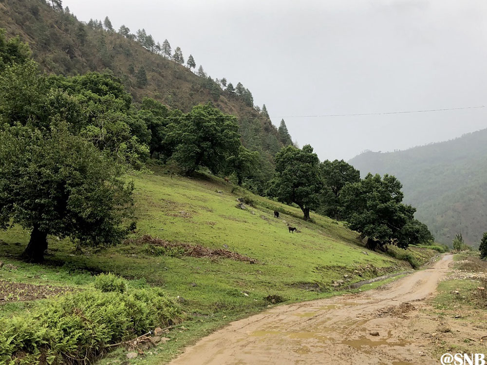 Sangti Valley