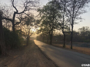 Mumbai Tarkarli Road Trip