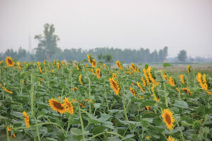 mumbai to spiti valley road trip