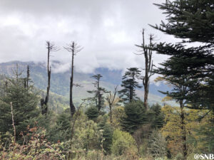 dirang to mandala top