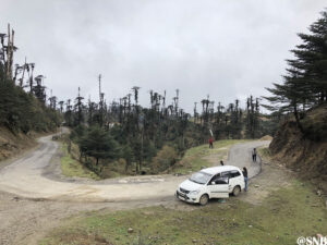 Dirang to Mandala Top