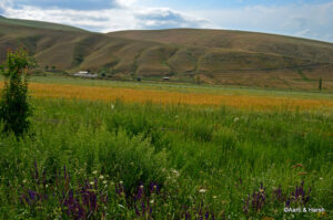 Bishkek to Ala Archa National Park