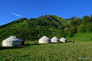 Yurt camp