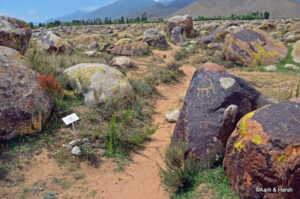 Petroglyph Site