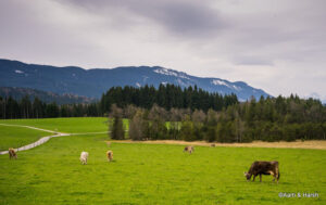 Munich to Innsbruck Day Trip