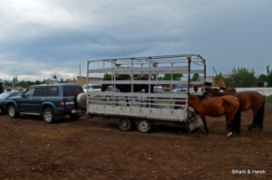 Sunday Animal Bazaar