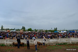 Sunday Animal Bazaar