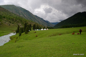 meadow near Jeti Oguz