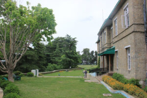 Chail Palace