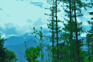 delhi to auli by bike