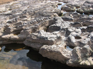 guwahati to cherrapunji road trip