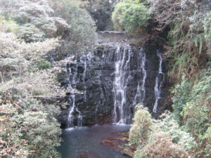 Elephant falls