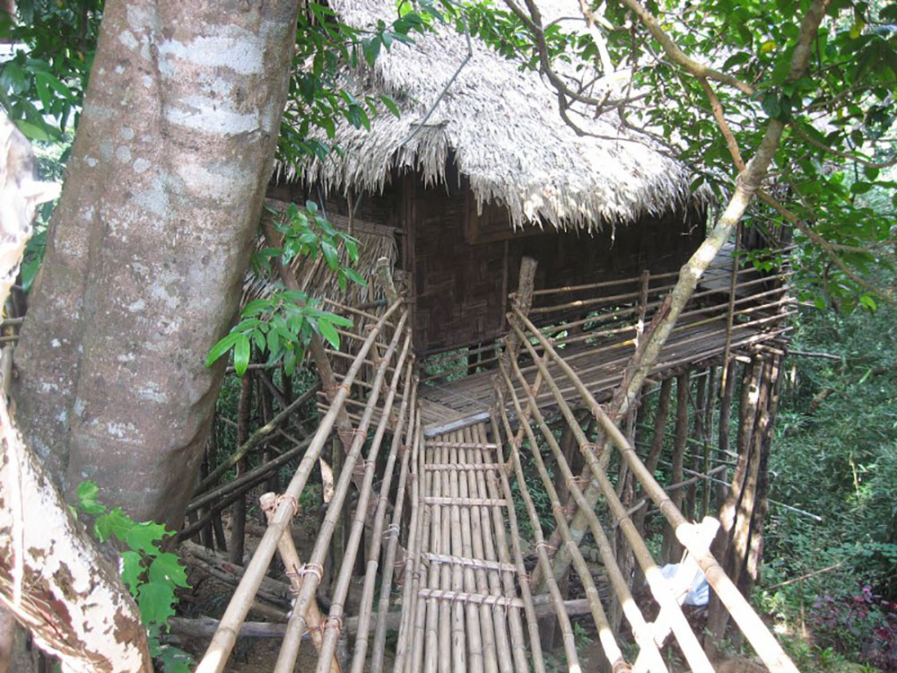 The Bamboo Treehouse