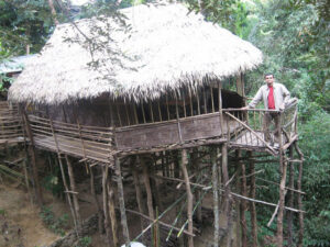 The Bamboo Treehouse