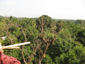 Places to visit in Mawlynnong