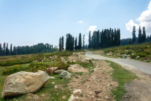 Bota Pathri Road Gulmarg