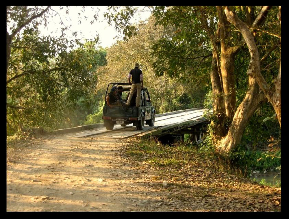 Jeep Safari in Kaziranga