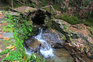 Jibhi Waterfall