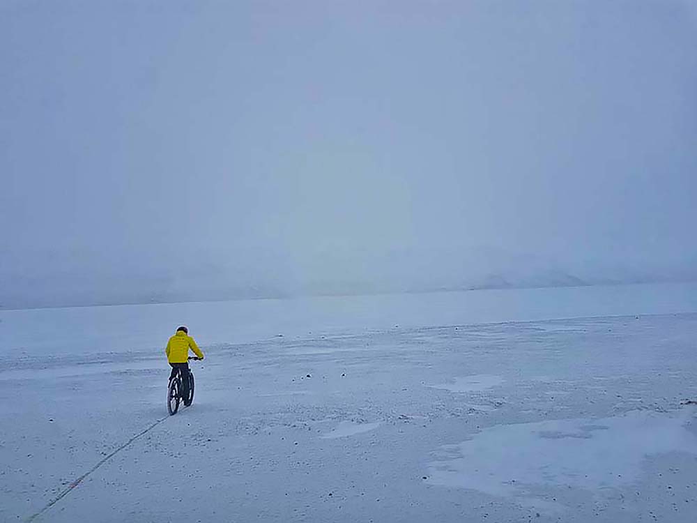 frozen pangong