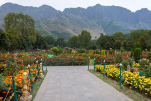 Nishat Bagh Srinagar