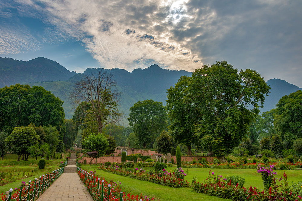 Bagh Kashmir