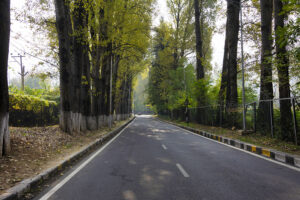 Srinagar to Gulmarg One Day Trip