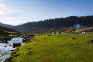Srinagar to Gulmarg One Day Trip