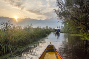 Shikara Ride in Dal Lake Srinagar