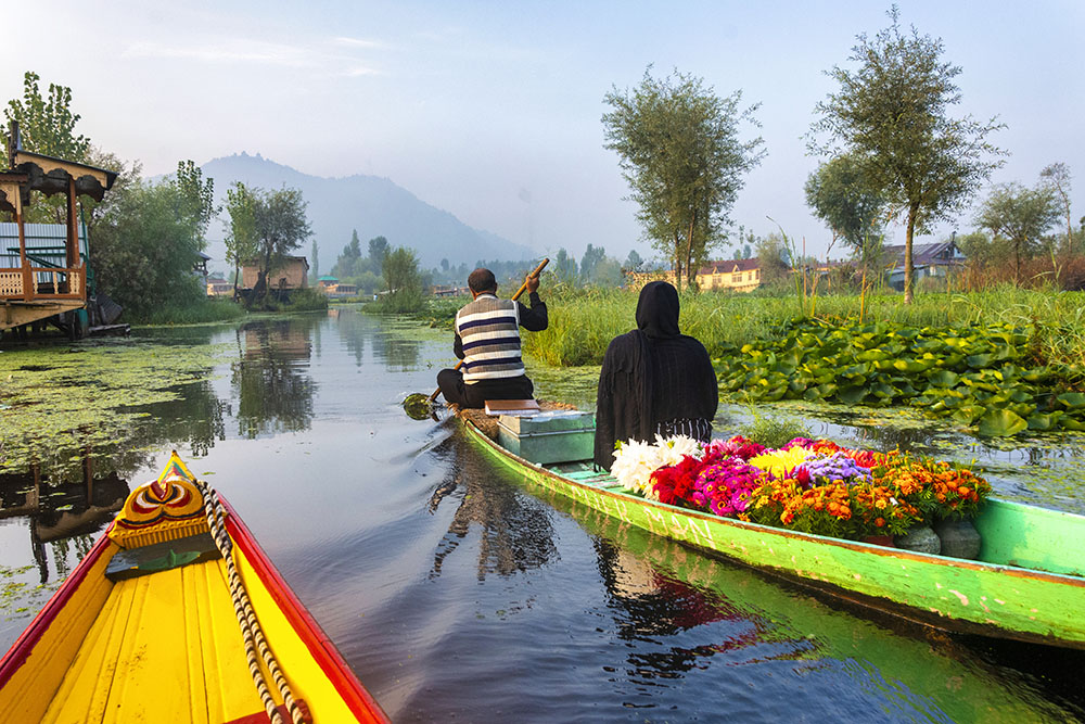 Shikara Ride in Dal Lake Srinagar
