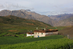 homestay in langza village