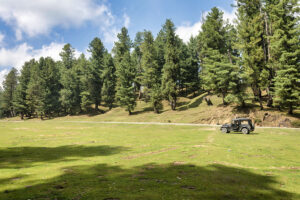 Srinagar to Aharbal Waterfall itinerary