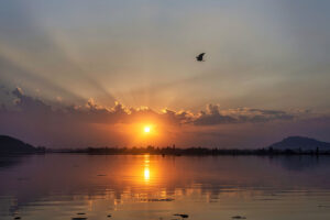 dal lake sunset