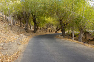 kargil to hambuting la pass