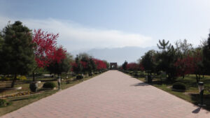 Delhi to Kashmir Road Trip