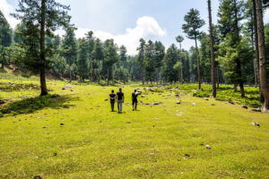 kashmir tourist camp