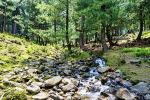 kashmir tourist camp