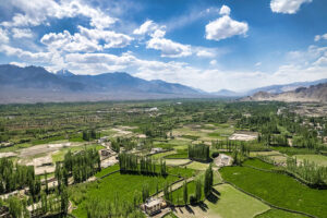 thiksey monastery